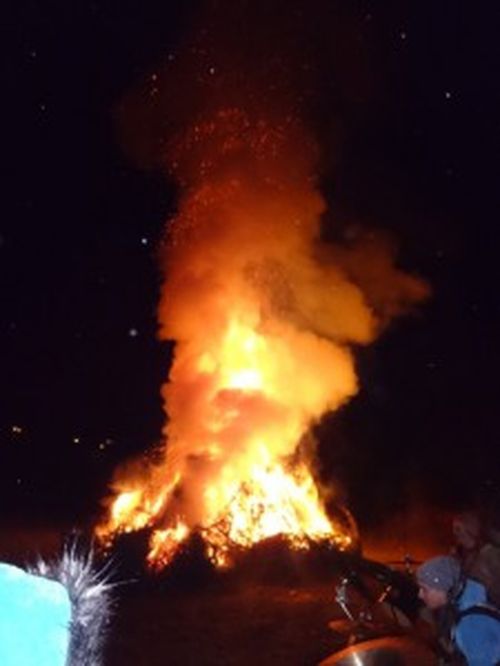 DSC05651